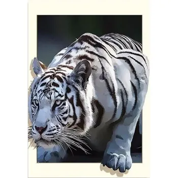 5D DIY Алмазная вышивка животное Зебра Аллигатор полная квадратная кошка алмазная живопись вышивка крестиком горный хрусталь фотографии домашний декор Full Round 20x30CM