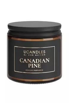 Свеча в банке KOSBR Canadian Pine, 100 гр UCANDLES