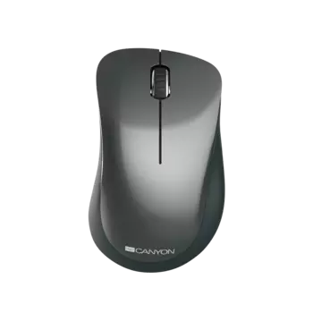 Мышь беспроводная Canyon MW-11, 1200dpi, оптическая лазерная, USB/Радиоканал, черный (CNE-CMSW11B)