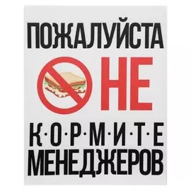 Картина на холсте "Не кормите менеджеров" 38х48 см