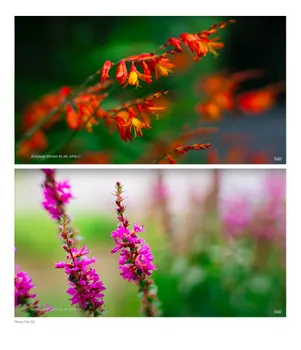 Объектив 7Artisans 50mm F0.95 E-Mount A008B-E