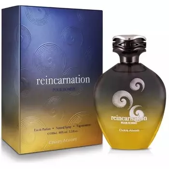 Reincarnation