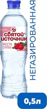 Вода питьевая Святой Источник Места силы Карелия с ароматом клюквы брусники и экстрактом клюквы негазированная 500мл