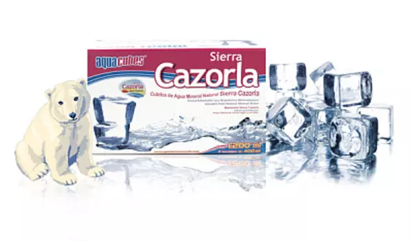 СИ -Кубики д/льда из природ родн минер негаз воды 40мл Sierra Cazorla