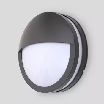 Настенный светильник уличный IP54 3363 (Oasis Light)