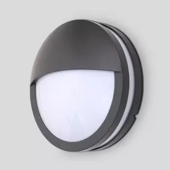 Настенный светильник уличный Oasis Light SIDNEY 3363 Gr