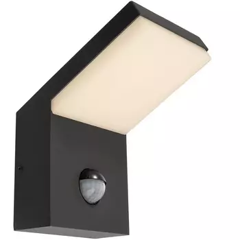 Настенный светильник уличный IP54 LED Deko-Light Tucanae 731133