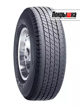 Шины Roadstone