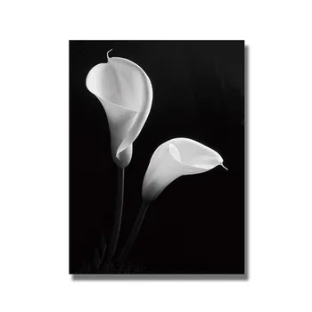 Скандинавский цветок Natura, холст, картина маслом, постеры и принты, Quadros, настенное искусство, современная картина для гостиной, домашний декор, Cuadros 20x30cm