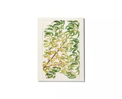 Постер BRANCH OF PEACH - 50x70 см