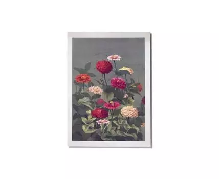Постер FLOWERS - 50x70 см