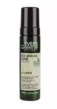 Dikson Экологическая моделирующая пена Eco Modeling Froam, 200 мл (Dikson, EveryGreen)
