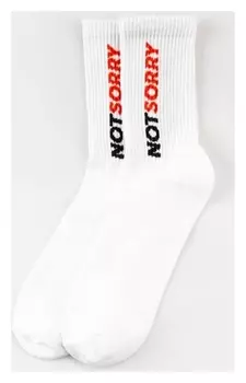 Носки мужские Kaftan "Not Sorry" р. 41-44 (27-29 см)
