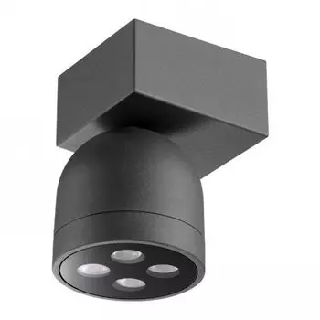 Уличный светодиодный потолочный спот Novotech GALEATI 358113 LED 10W 3000K 220V