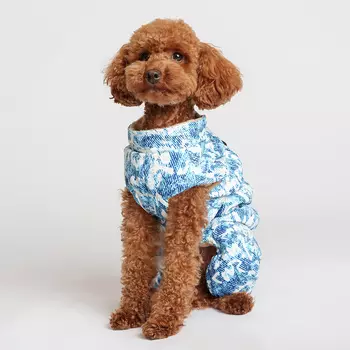 Petmax Комбинезон на замке для собак, 2XL, голубо-белый (девочка)