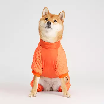 Petmax Комбинезон на замке для собак, 5XL, оранжевый (унисекс)