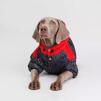 Petmax Куртка с капюшоном для собак, 5XL, красно-черная