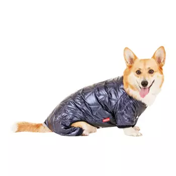 Petmax Комбинезон для собак 2XL синий (унисекс)