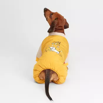 Petmax Комбинезон для собак, 2XL, желтый (мальчик)