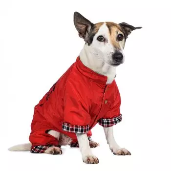 Petmax Комбинезон для собак, 3XL, красный (девочка)