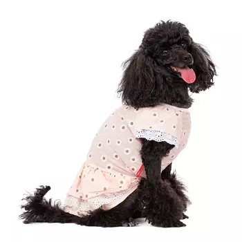 Petmax Платье для собак, XL, розовое с ромашками (девочка)
