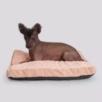 Petmax Подушка для кошек и собак, 60х50х9 см, розовая