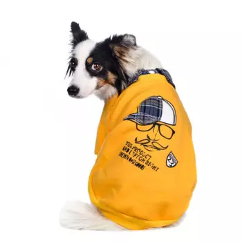 Petmax Толстовка для собак желтая рис кепка XS