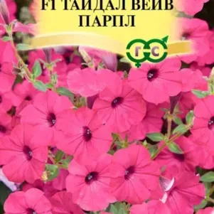 Семена Петуния Тайдал Вейв парпл F1 (Минитуния) суперкаскад. 4 шт. гранул. проб. серия Элитная клумб