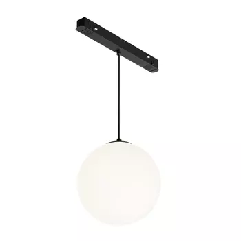 Светодиодный трековый светильник однофазный Technical Luna 4000К 5 Вт 2 кв.м черный (TR039-2-5W4K)