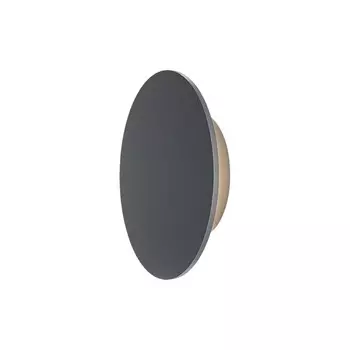 Светильник светодиодный садово-парковый настенный Outdoor Wald графит 3000К 12 Вт IP65 (O420WL-L12GF)