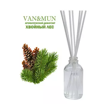 VAN&MUN Ароматический диффузор Хвойный лес с палочками для дома и офиса 100.0