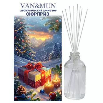 VAN&MUN Ароматический диффузор VAN&MUN Сюрприз 100.0