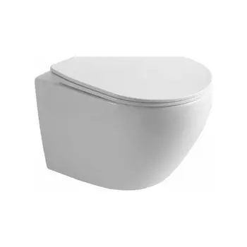 Унитаз OLIVE'S подвесной, белый, сиденье дюропласт PLAZA (PL30116DP)