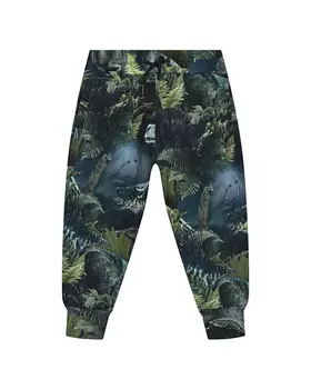 Спортивные брюки Alvar Dino Night Molo детские