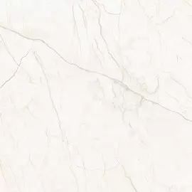 Керамогранит Исеть G231 60,0*60,0 элегантный матовый