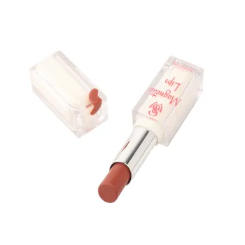 Помада увлажняющая Magnetic Lips Shinewell, тон 03 (капучино), 3 г