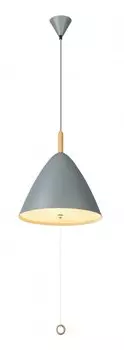 Светильник Globo 15325G