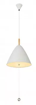 Светильник Globo 15325W