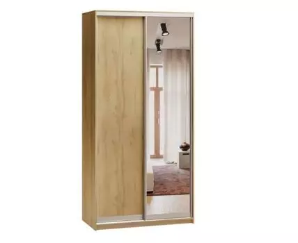 Шкаф-купе Байкал-2-100-220 Дуб Золотистый с зеркалом