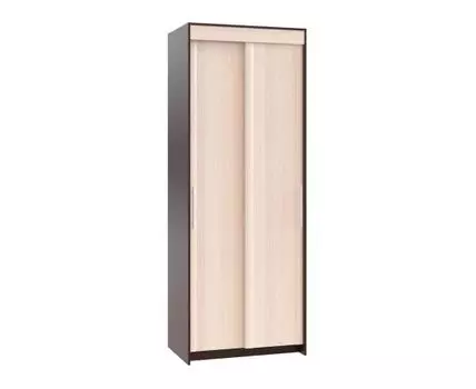 Шкаф-купе Контур ШР-2