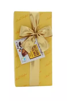 Шоколадные конфеты Ассорти Belgian pralines 100 г Maitre Truffout