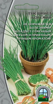 Лук шнитт Богемия 0,3 г цв.п.