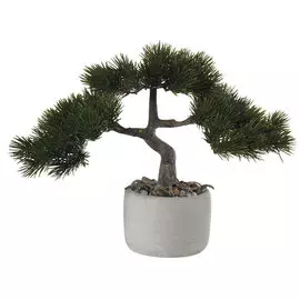 Бонсай Сосна в керамическом горшочке Asa Selection Bonsai, 22.5x14.5см