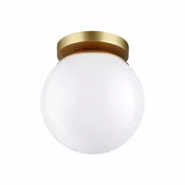 Уличный настенно-потолочный светильник Odeon Light Bosco 4247/1C