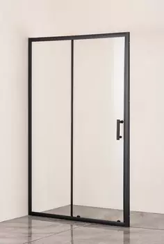 Душевая дверь в нишу Taliente TA-120-1CB 120х195 стекло прозрачное, профиль черный