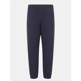 Спортивные брюки Trussardi