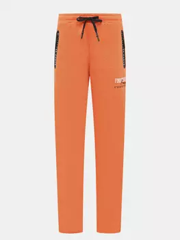 Спортивные брюки Finisterre Force
