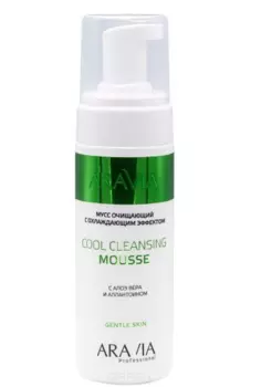 Aravia, Мусс очищающий с охлаждающим эффектом с алоэ вера и аллантоином Cool Cleansing Mousse, 160 мл