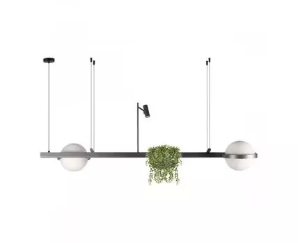 Подвесная люстра Loft IT Jardin