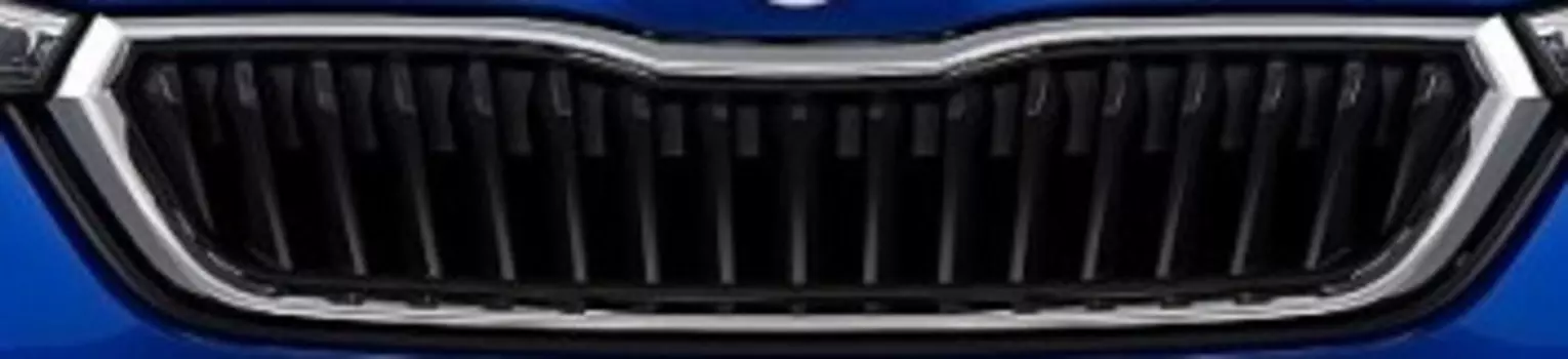 Защитные сетки радиатора 5JH053670AN для Skoda Rapid 2020 -